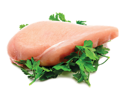 Acana Prairie Poultry